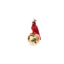 Raz Eric Cortina 5" Elegant Cardinal Glass Christmas Ornament 4353115 8 Raz Eric Cortina 5" Elegant Cardinal Glass Christmas Ornament 4353115 -Christmas Decorations 4353115b 39734.1689693000