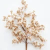 Raz 32" Gold Berry Cluster Christmas Tree Spray F4202336 -Christmas Decorations F4202336 19647.1685975422
