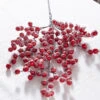 Raz 27.5" Snowy Red Berry Christmas Tree Spray F4306669 1 Raz 27.5" Snowy Red Berry Christmas Tree Spray F4306669 -Christmas Decorations F4306669 77732.1686061782