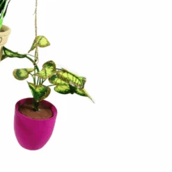 Cody Foster 4.5" Pothos, Snakeplant, Or Fern Christmas Ornament PO-2079 -Christmas Decorations PO 2079C 54197.1691524977