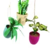 Cody Foster 4.5" Pothos, Snakeplant, Or Fern Christmas Ornament PO-2079 -Christmas Decorations PO 2079 1 53985.1691524871