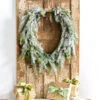 Raz 36" Flocked Oval Cedar And Pinecone Christmas Wreath W4309881 1 Raz 36" Flocked Oval Cedar And Pinecone Christmas Wreath W4309881 -Christmas Decorations W4309881 89231.1686678888