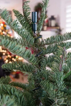 Village Lighting Universal Christmas Tree Topper Holder V-11103 11 Village Lighting Universal Christmas Tree Topper Holder V-11103 -Christmas Decorations apiylnmow 47410.1646091960