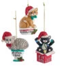 Kurt Adler 3.25" "If I Fits, I Sits" Cat Christmas Ornaments E0599 -Christmas Decorations e0599 00422.1677698894